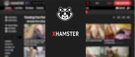 hamster live web|Users – xHamsterLive